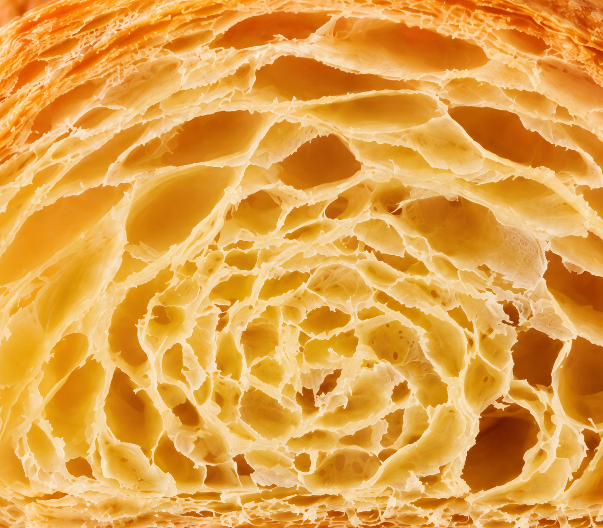 Dettaglio degli strati e dell’ampia alveolatura del cornetto Novaria